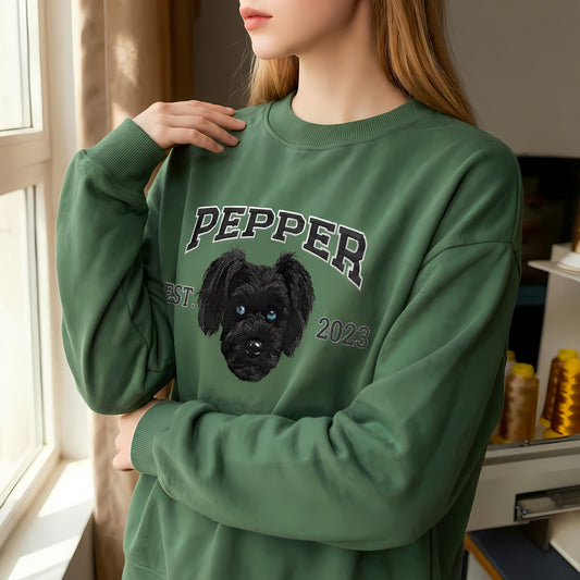 Custom Embroidered Pet Hoodies